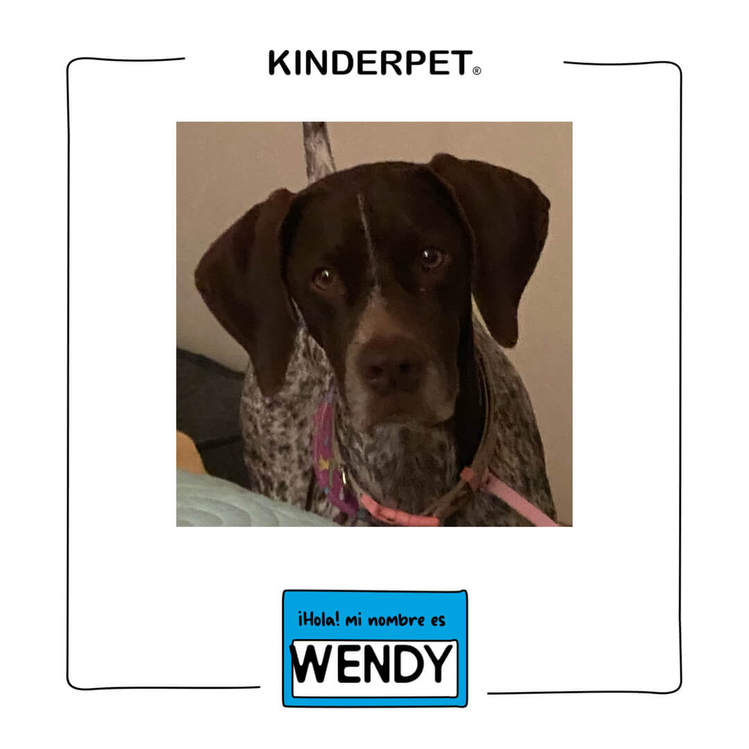 Foto de perra wendy