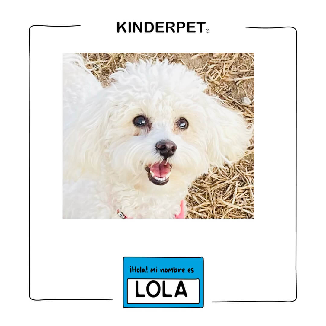 Foto de perra Lola